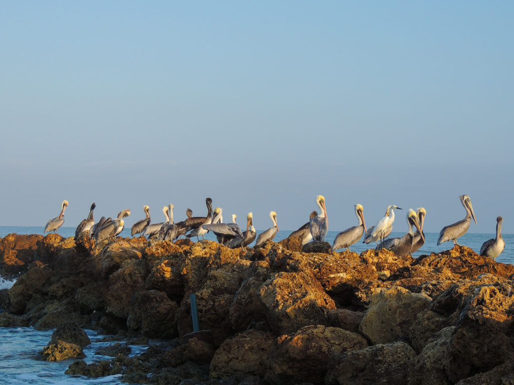 Cartagena without Surprises: Your Guide to Travel Safely and Avoid Scams